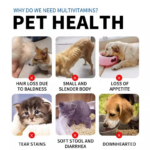 15 in 1 Multivitamin Chews for Pets - Image 4