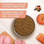 Chicken Formula Dry Cat Food - Image 4
