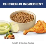 Chicken Formula Dry Cat Food - Image 5