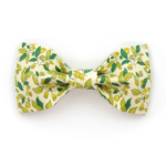 Dog Bowtie