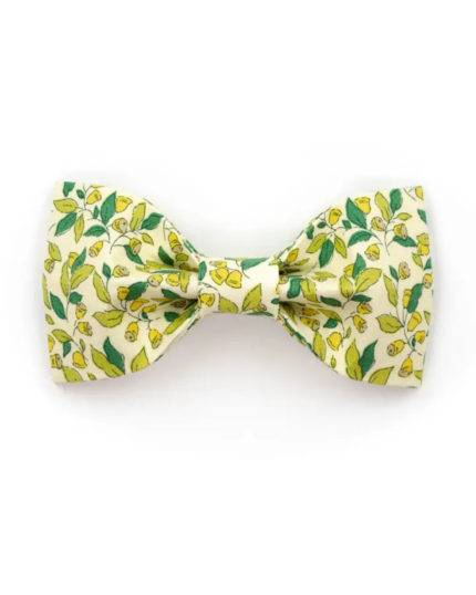 Dog Bowtie