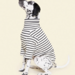 Dog Pullover Shirt