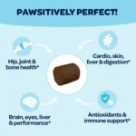 Fish Flavored Dog Multivitamin Chews - Image 4