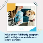 Fish Flavored Dog Multivitamin Chews - Image 5