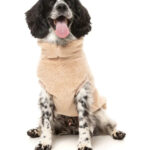 Teddy Dog Fleece Sweater