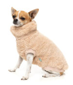 Teddy Dog Fleece Sweater - Image 4