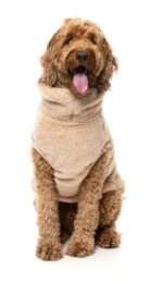 Teddy Dog Fleece Sweater - Image 6