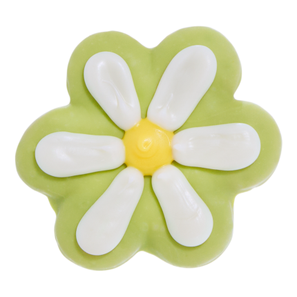 Vegetarian Dog Cookie