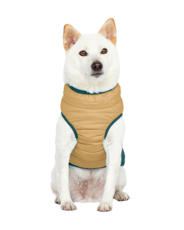 Waterproof Dog Harness Jacket - Image 2